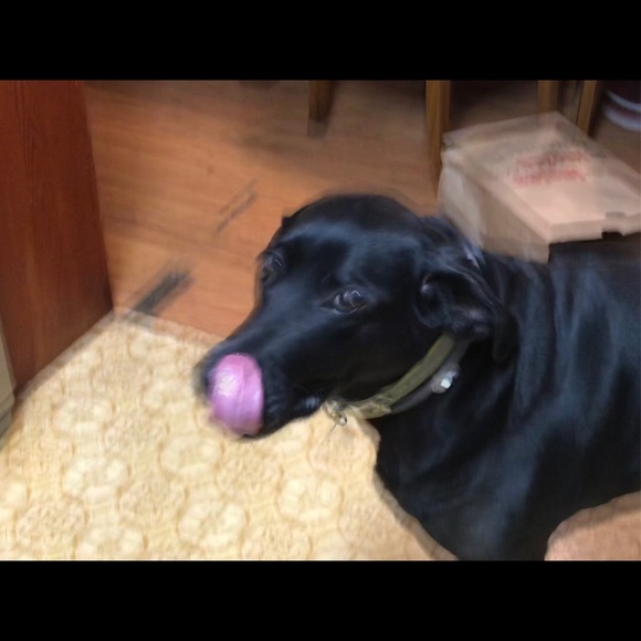 Meet your Posher, Crystal - Picture 6 of 10